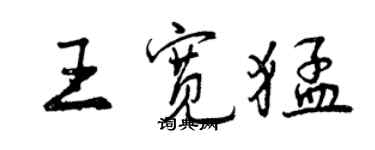 曾庆福王宽猛行书个性签名怎么写
