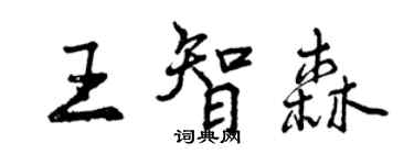 曾庆福王智森行书个性签名怎么写