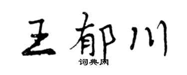 曾庆福王郁川行书个性签名怎么写