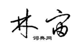 梁锦英林宙草书个性签名怎么写