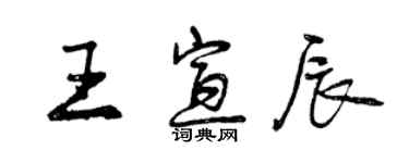 曾庆福王宣辰行书个性签名怎么写