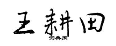 曾庆福王耕田行书个性签名怎么写