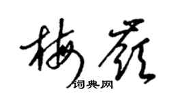 梁锦英梅岭草书个性签名怎么写