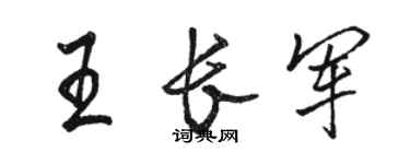 骆恒光王长军行书个性签名怎么写