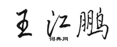 骆恒光王江鹏行书个性签名怎么写