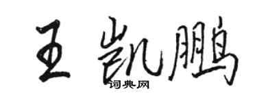 骆恒光王凯鹏行书个性签名怎么写