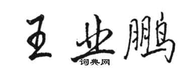 骆恒光王业鹏行书个性签名怎么写