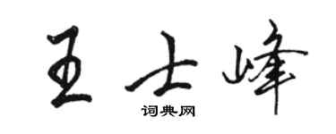 骆恒光王士峰行书个性签名怎么写