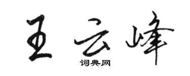 骆恒光王云峰行书个性签名怎么写