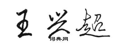骆恒光王兴超行书个性签名怎么写