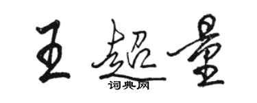 骆恒光王超量行书个性签名怎么写