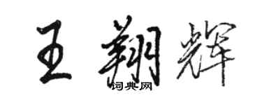 骆恒光王翔辉行书个性签名怎么写