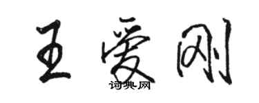 骆恒光王爱刚行书个性签名怎么写