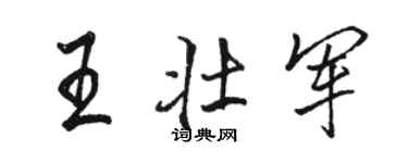 骆恒光王壮军行书个性签名怎么写