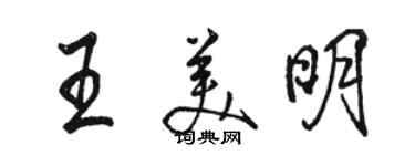 骆恒光王美明行书个性签名怎么写