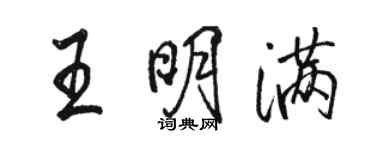 骆恒光王明满行书个性签名怎么写