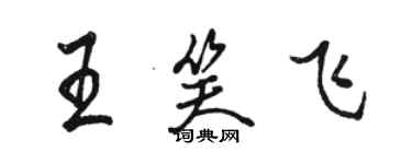 骆恒光王笑飞行书个性签名怎么写
