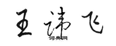 骆恒光王讳飞行书个性签名怎么写