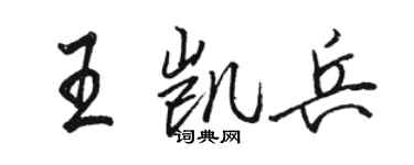 骆恒光王凯兵行书个性签名怎么写
