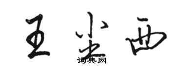骆恒光王尘西行书个性签名怎么写