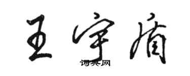 骆恒光王宇盾行书个性签名怎么写
