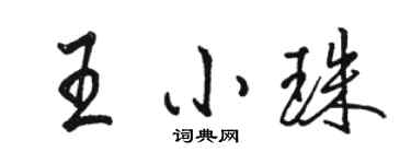 骆恒光王小珠行书个性签名怎么写