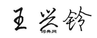 骆恒光王兴铃行书个性签名怎么写