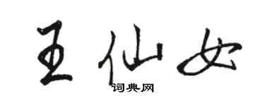骆恒光王仙女行书个性签名怎么写