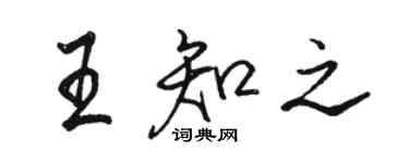 骆恒光王知之行书个性签名怎么写