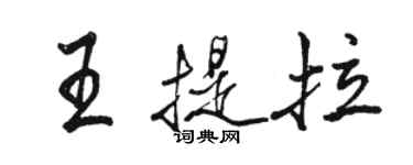 骆恒光王提拉行书个性签名怎么写
