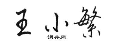 骆恒光王小繁行书个性签名怎么写
