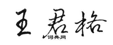 骆恒光王君格行书个性签名怎么写