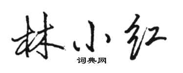 骆恒光林小红行书个性签名怎么写