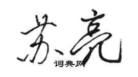 骆恒光苏亮行书个性签名怎么写