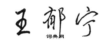 骆恒光王郁宁行书个性签名怎么写