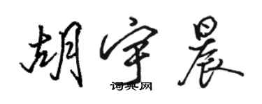 骆恒光胡宇晨行书个性签名怎么写
