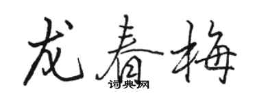 骆恒光龙春梅行书个性签名怎么写