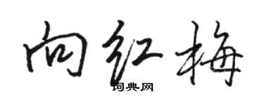 骆恒光向红梅行书个性签名怎么写