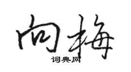 骆恒光向梅行书个性签名怎么写