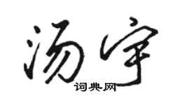 骆恒光汤宇行书个性签名怎么写