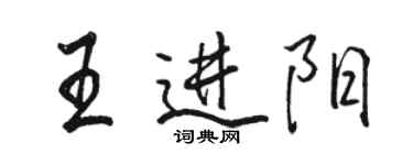骆恒光王进阳行书个性签名怎么写