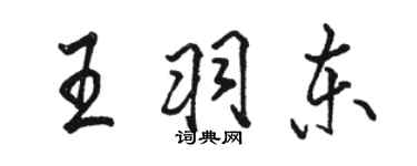 骆恒光王羽东行书个性签名怎么写