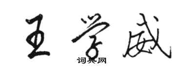 骆恒光王学威行书个性签名怎么写
