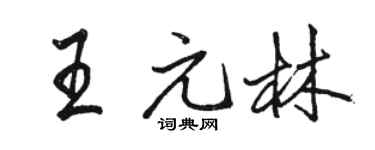 骆恒光王元林行书个性签名怎么写