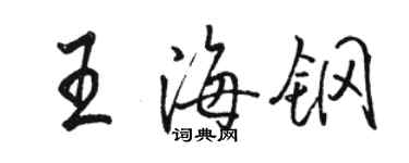 骆恒光王海钢行书个性签名怎么写