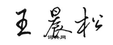 骆恒光王晨松行书个性签名怎么写