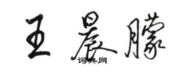 骆恒光王晨朦行书个性签名怎么写