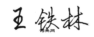 骆恒光王铁林行书个性签名怎么写