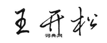 骆恒光王开松行书个性签名怎么写