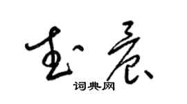 梁锦英武晨草书个性签名怎么写